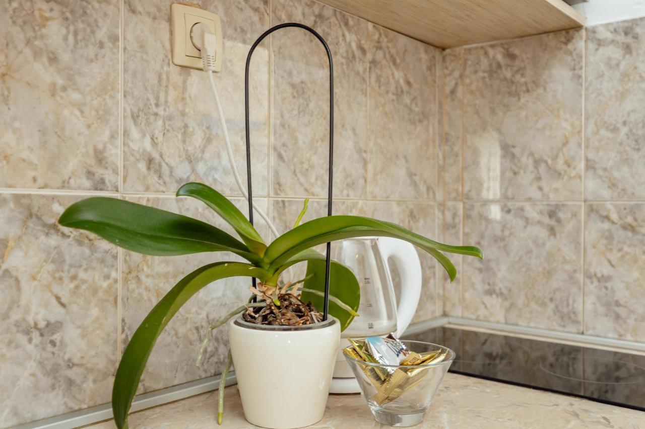 Apartmani Vico Herceg Novi Buitenkant foto