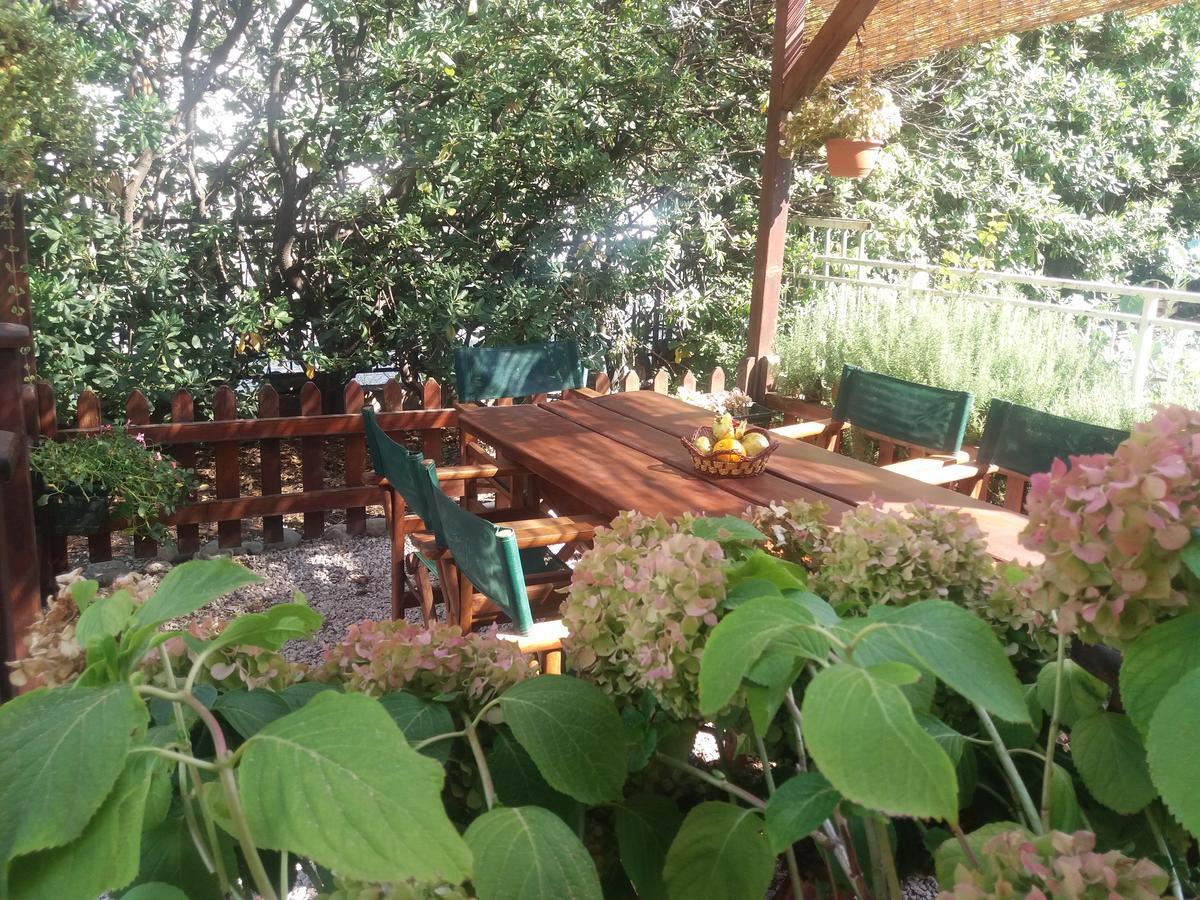 Apartmani Vico Herceg Novi Buitenkant foto